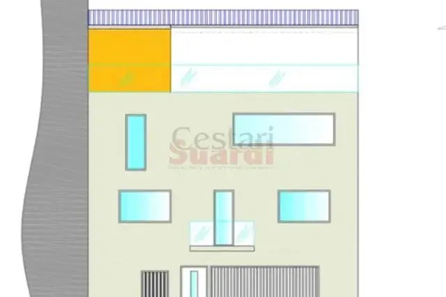 insertion image