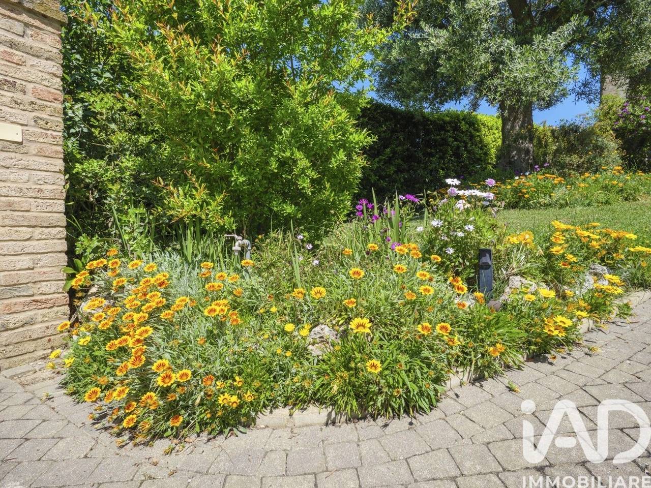 immagine annuncio 13 di 15