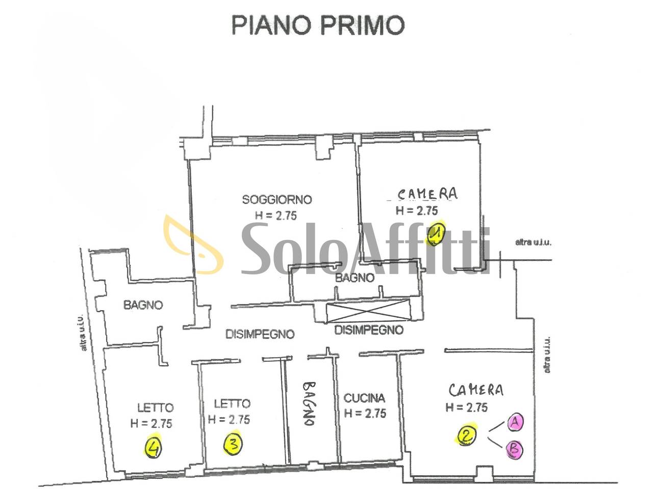 immagine annuncio 5 di 15