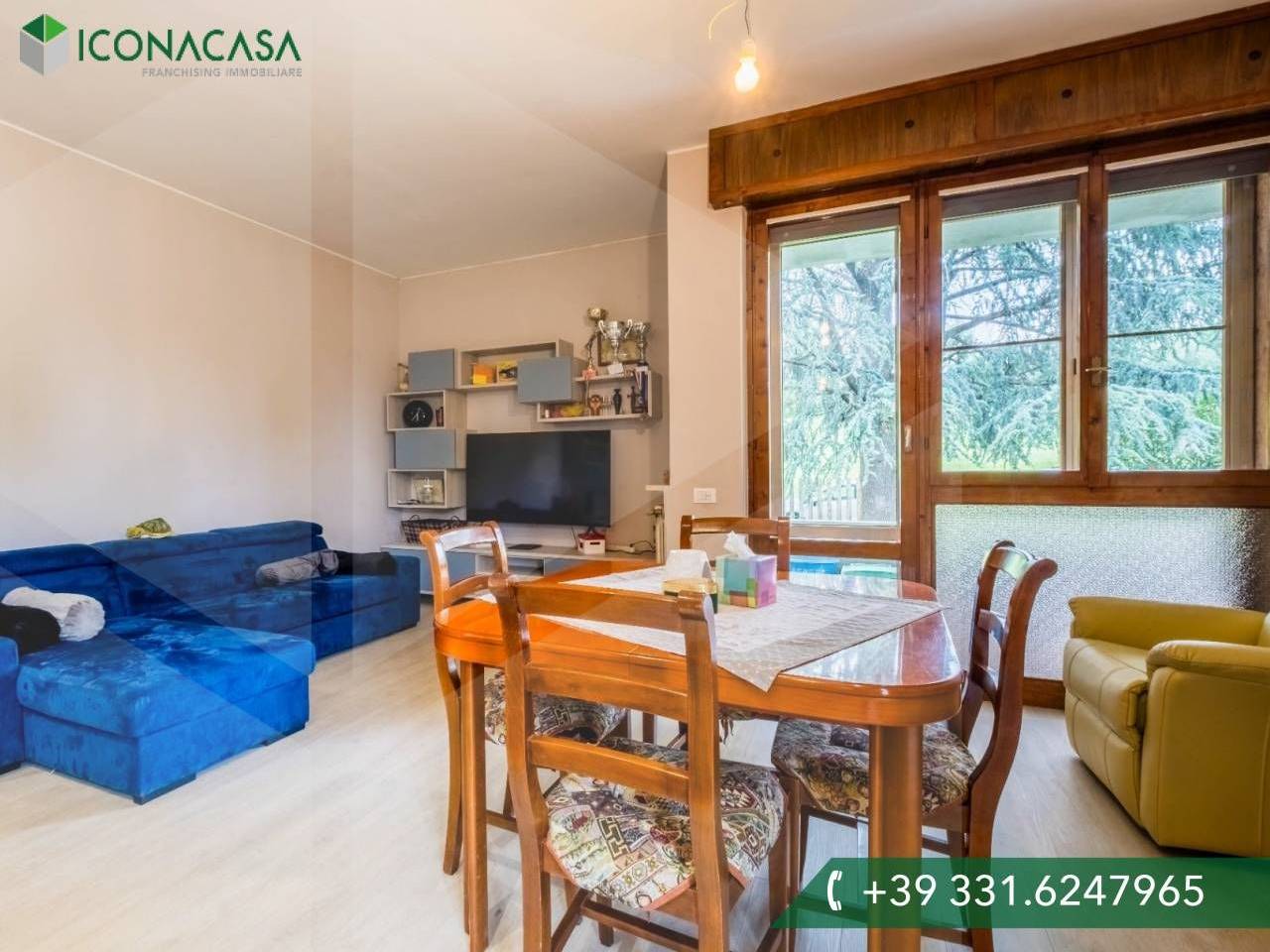 immagine annuncio 3 di 11