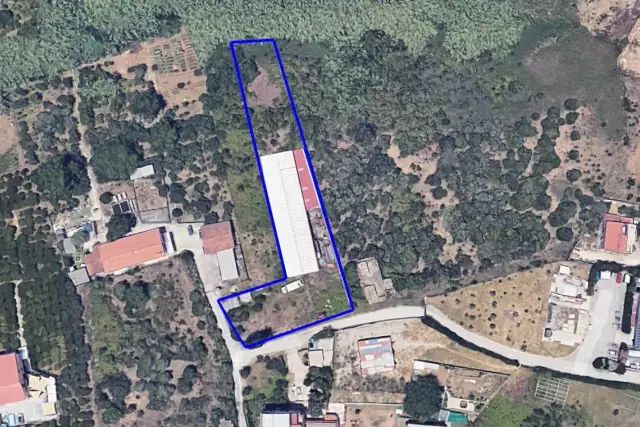 insertion image
