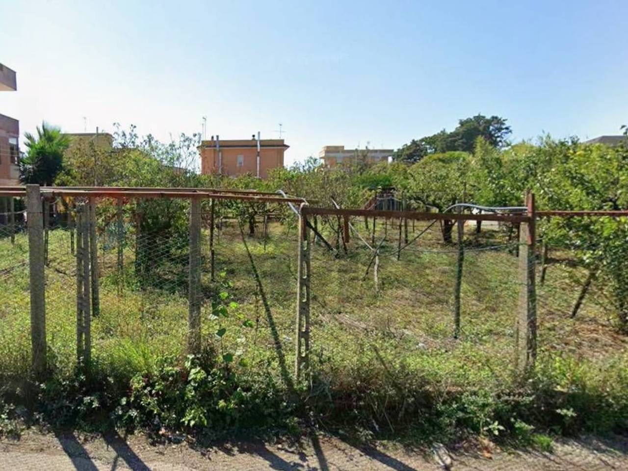 immagine annuncio 1 di 6