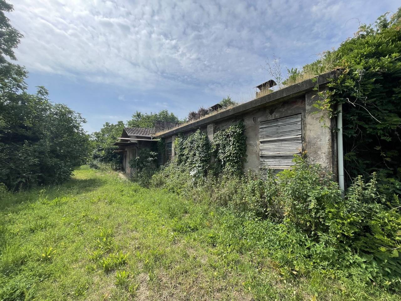 immagine annuncio 7 di 14