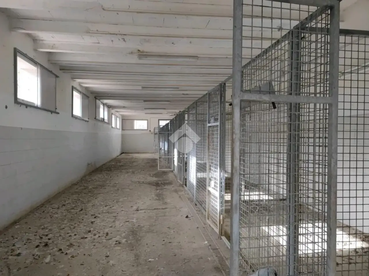 Palazzina commerciale in Via Giorgio Zoli, Predappio, {3} - Foto 1