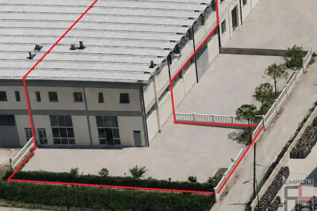 insertion image