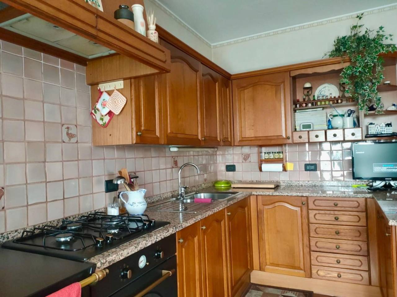 immagine annuncio 11 di 15