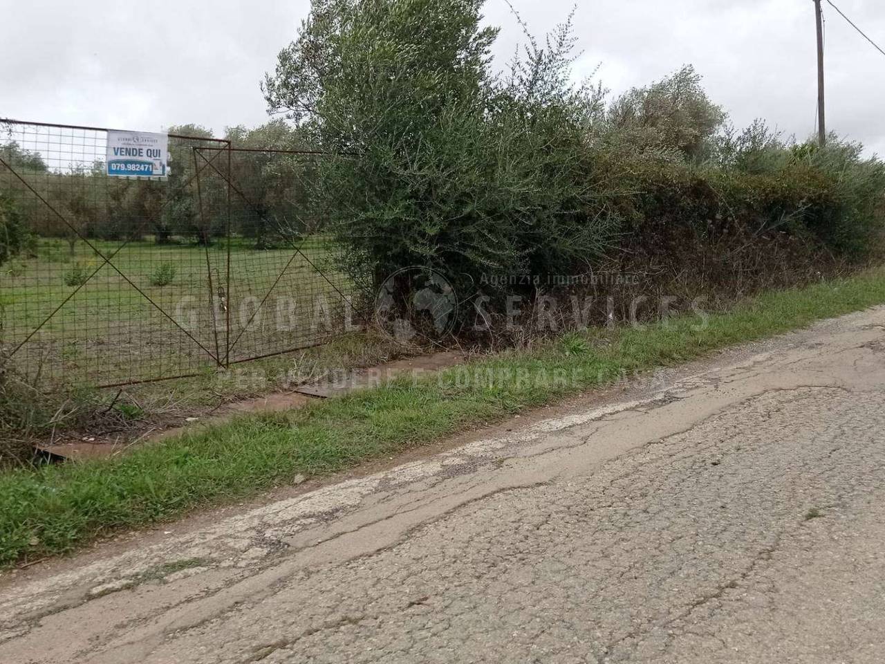 immagine annuncio 11 di 14