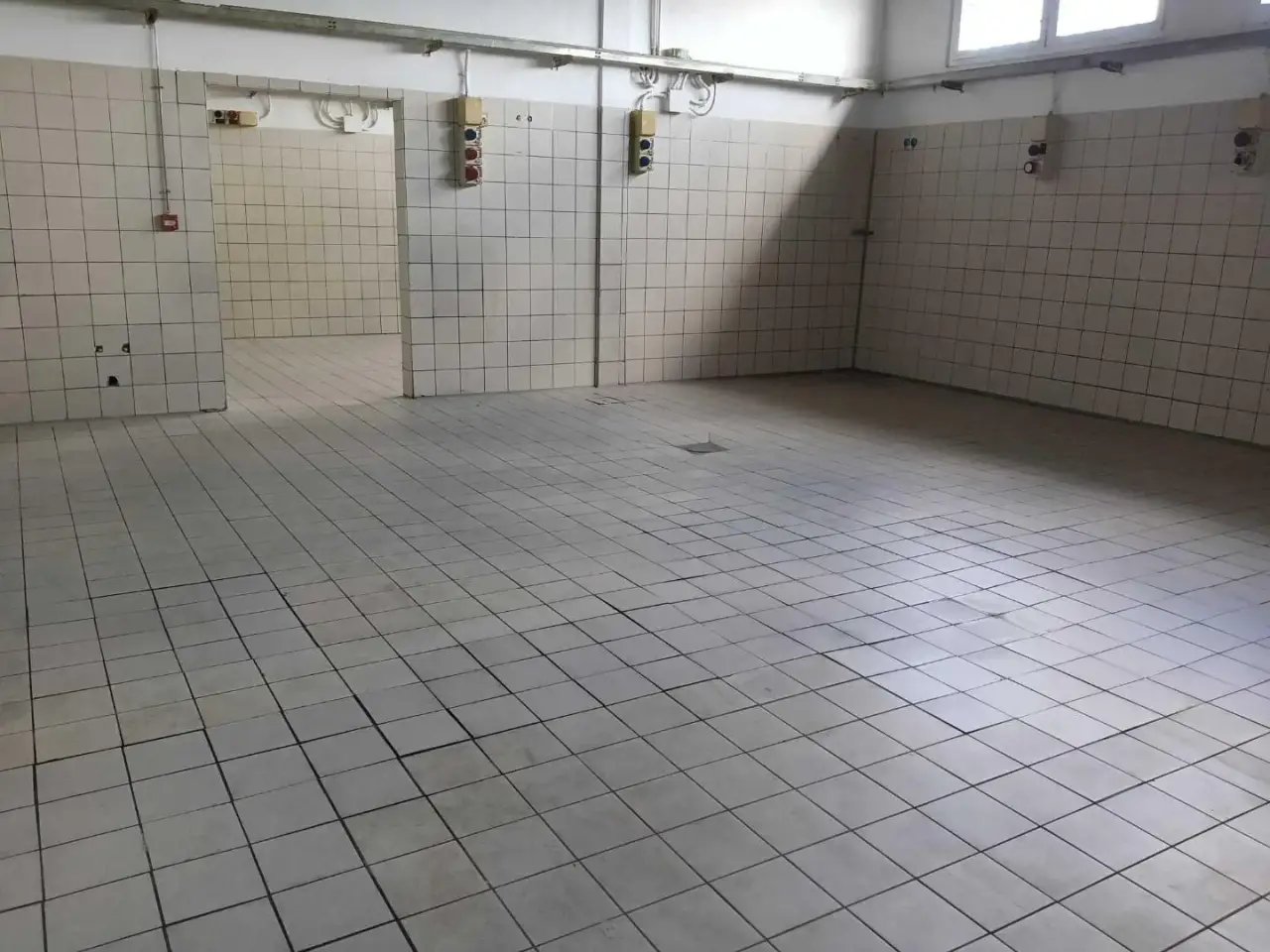 Laboratorio in , San Giuliano Terme, {3} - Foto 1