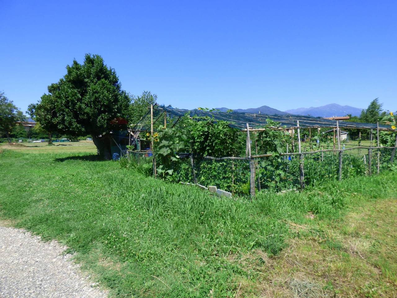 immagine annuncio 10 di 12