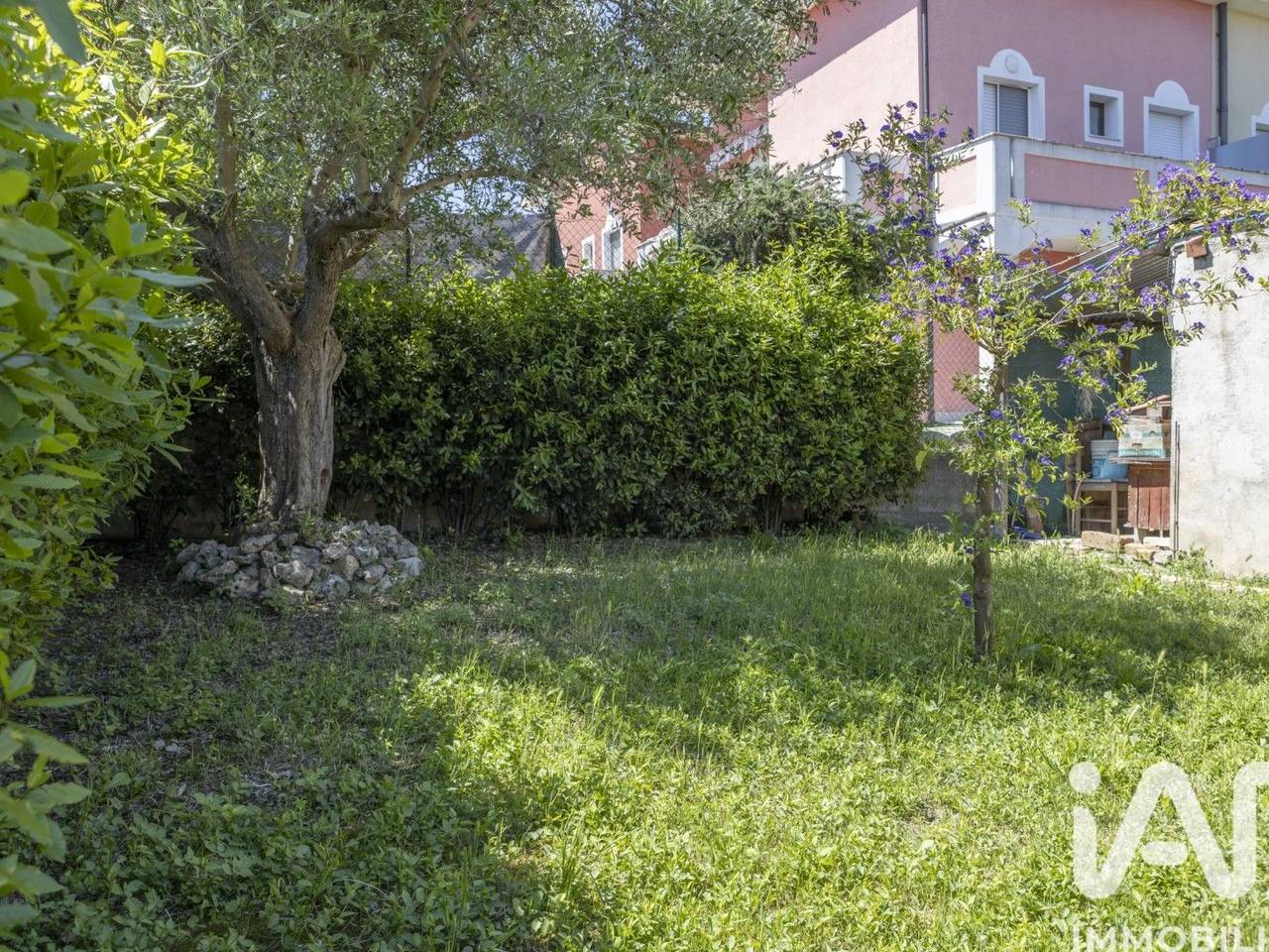 immagine annuncio 12 di 15