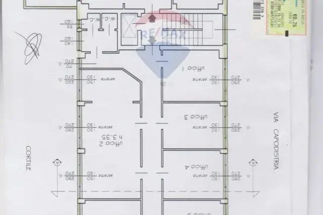 main planimetry real estate image