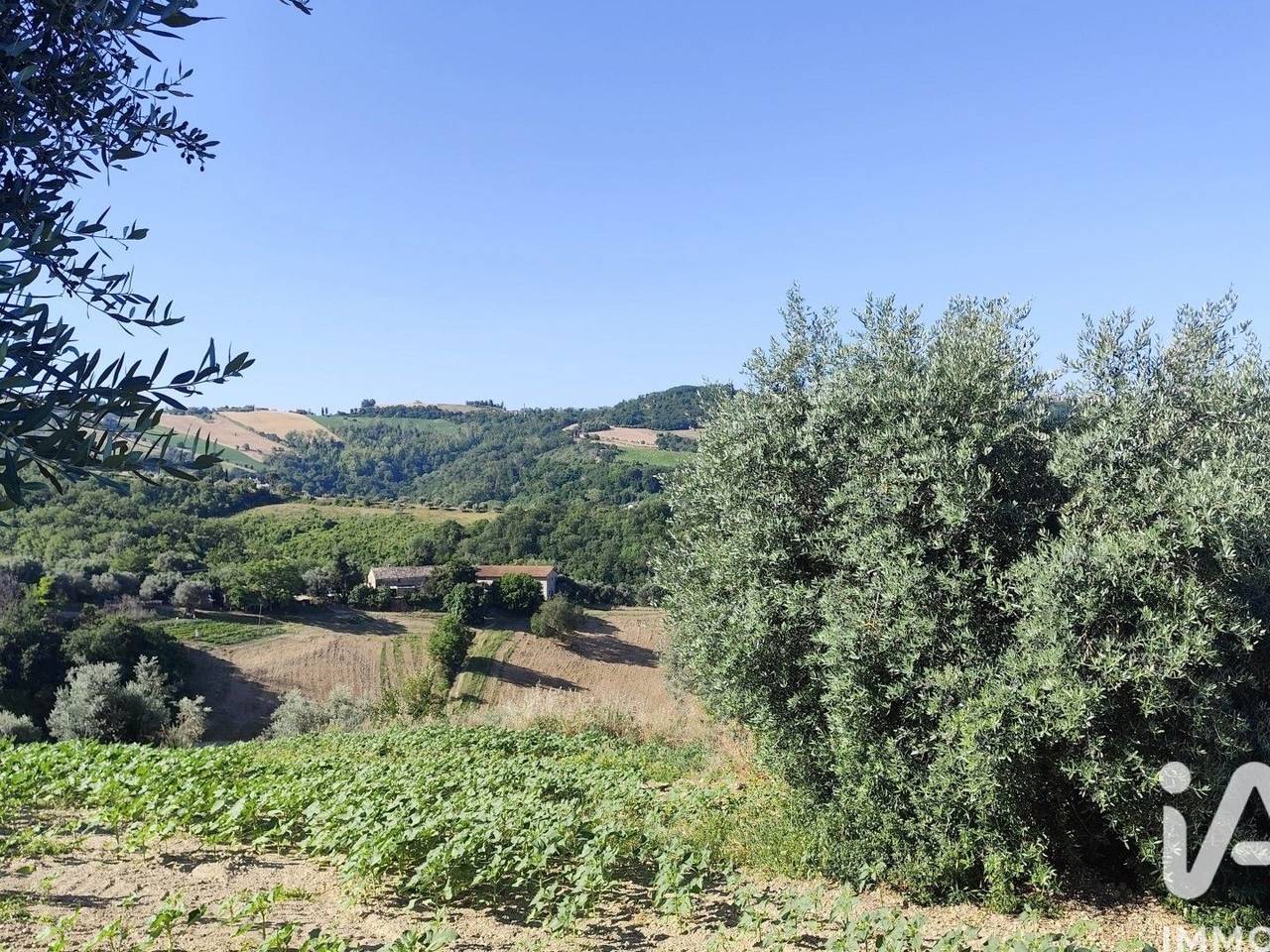 immagine annuncio 10 di 14