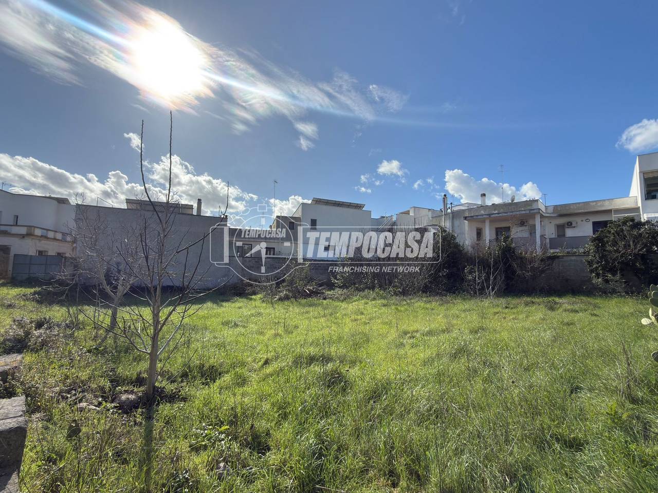 immagine annuncio 11 di 14