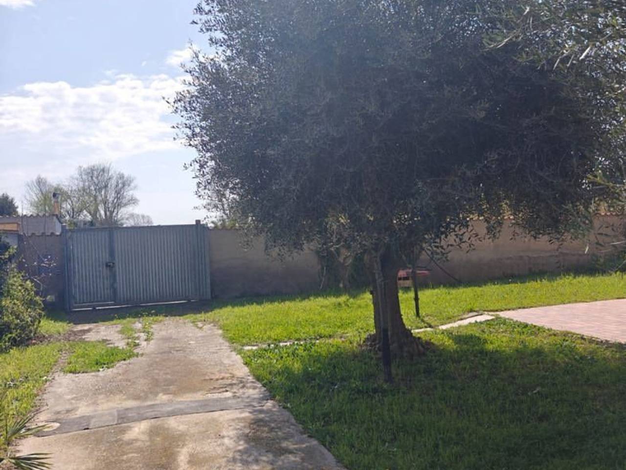 immagine annuncio 8 di 12