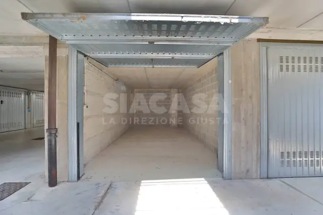insertion image