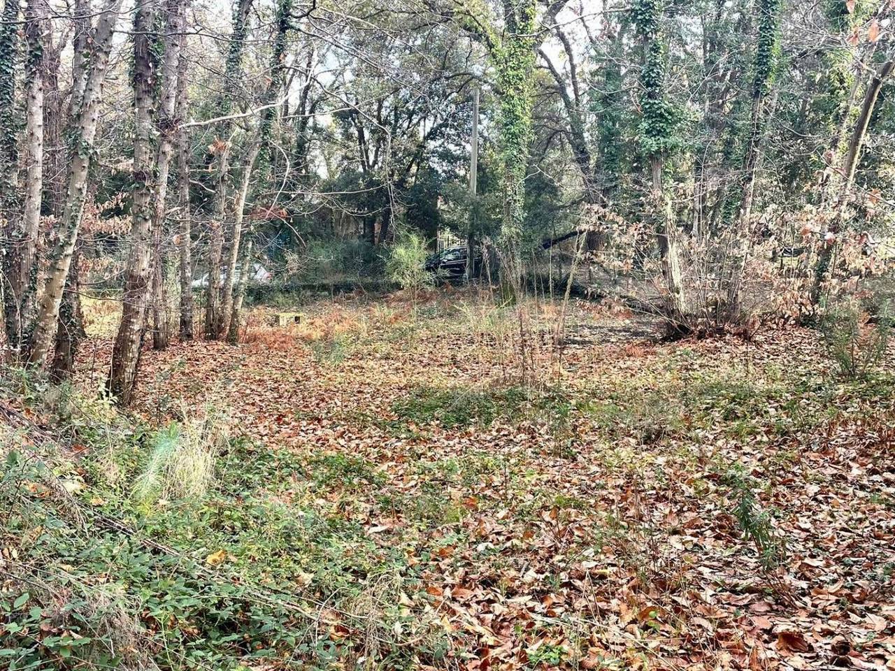 immagine annuncio 6 di 13