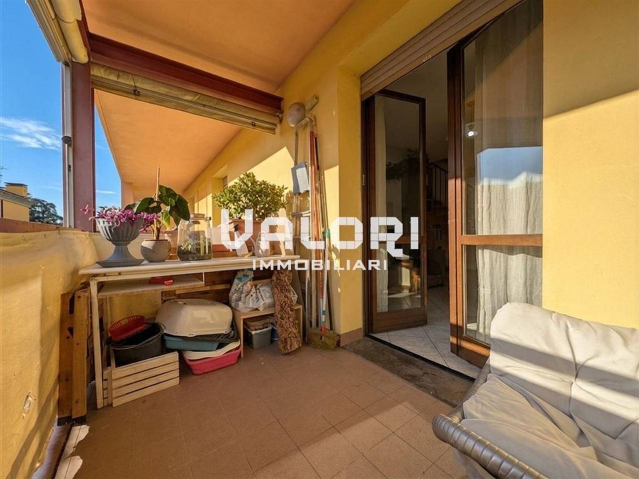 immagine annuncio 7 di 15