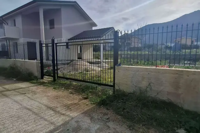 insertion image