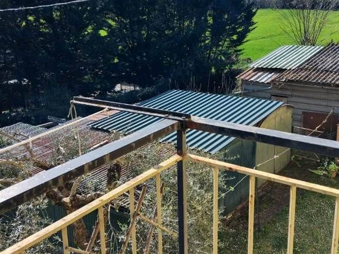 immagine annuncio 2 di 12