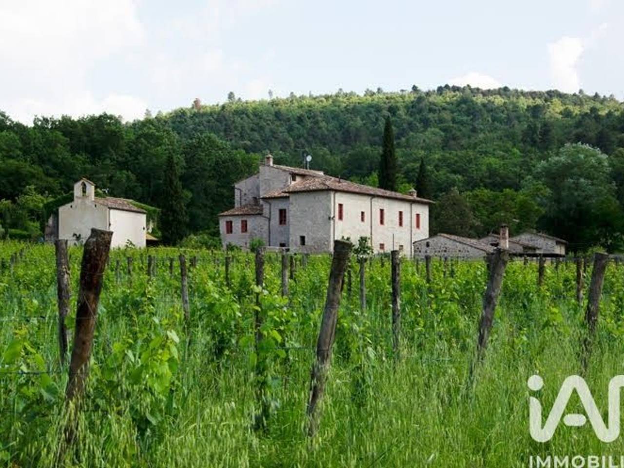 immagine annuncio 13 di 15