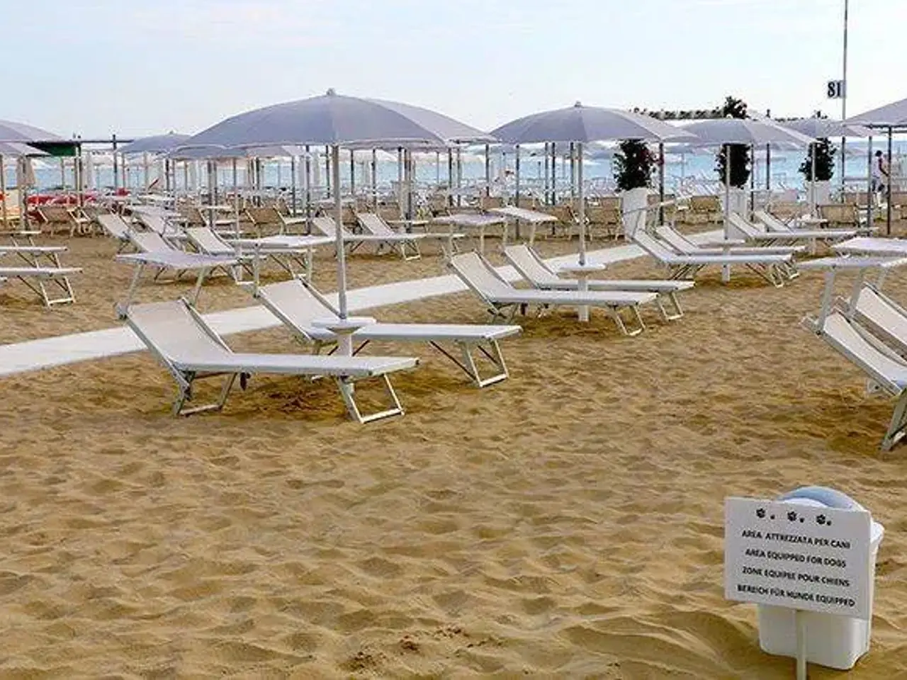 Hotel in , Riccione, {3} - Foto 1