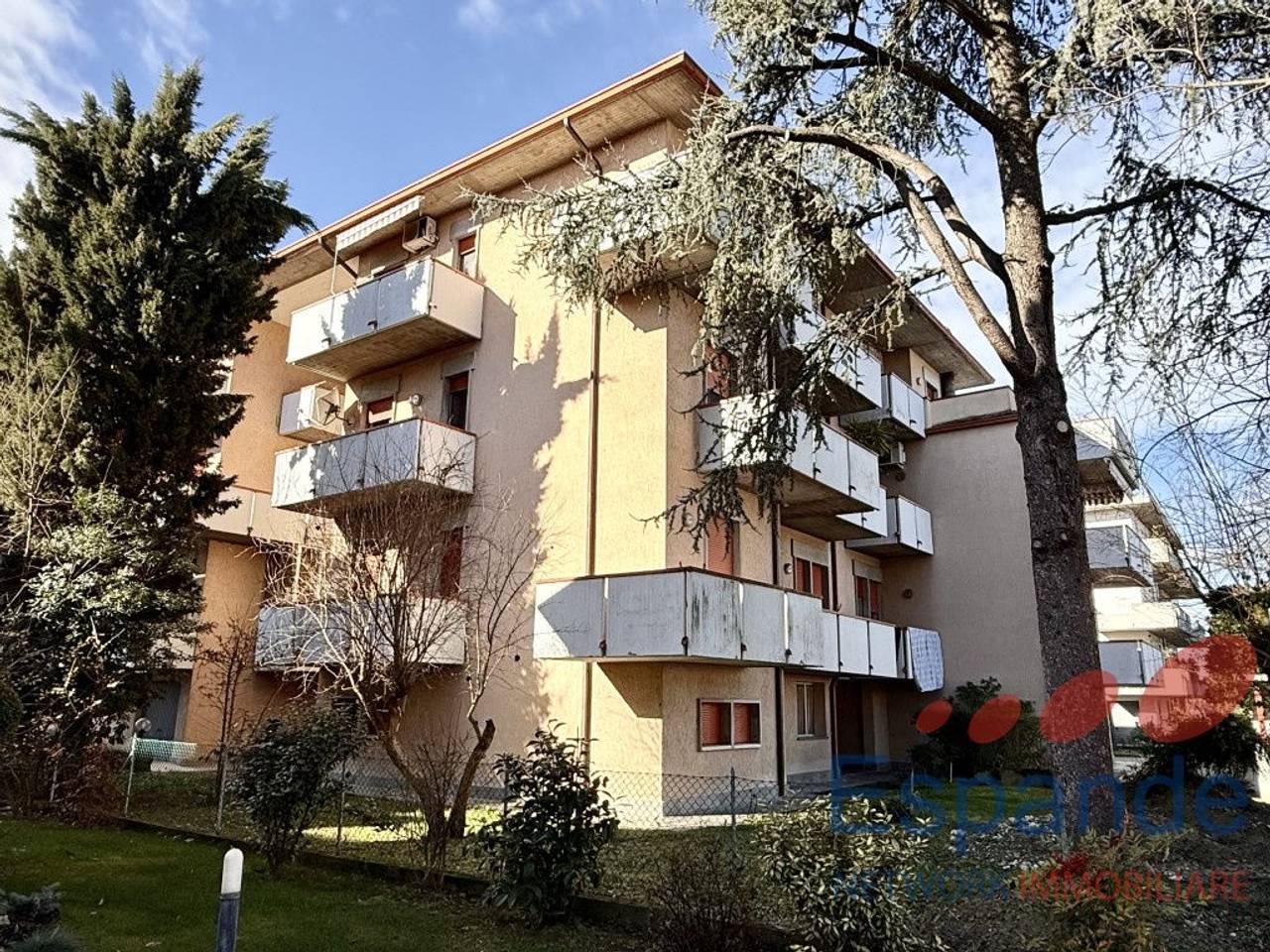 immagine annuncio 9 di 11