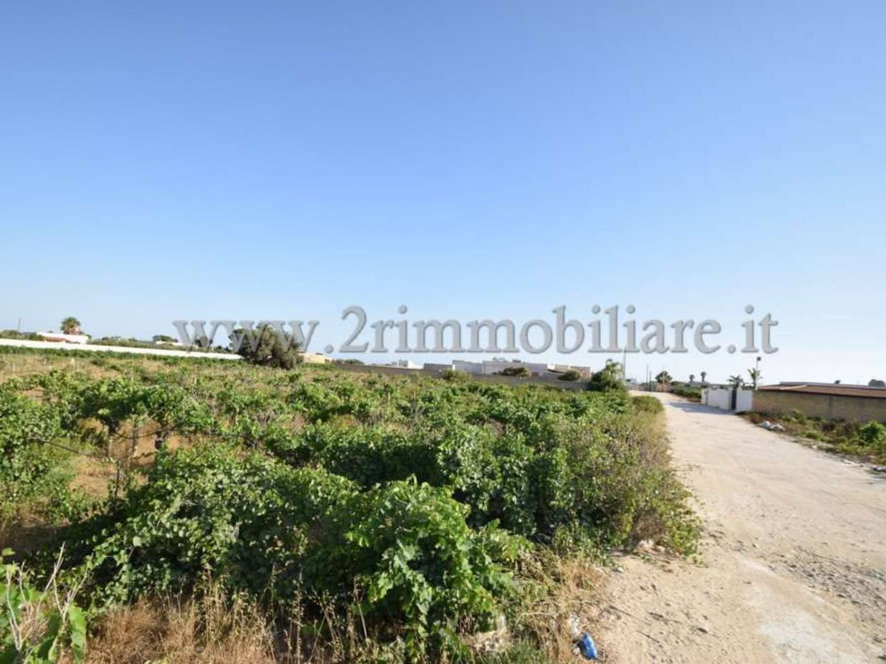 immagine annuncio 4 di 8