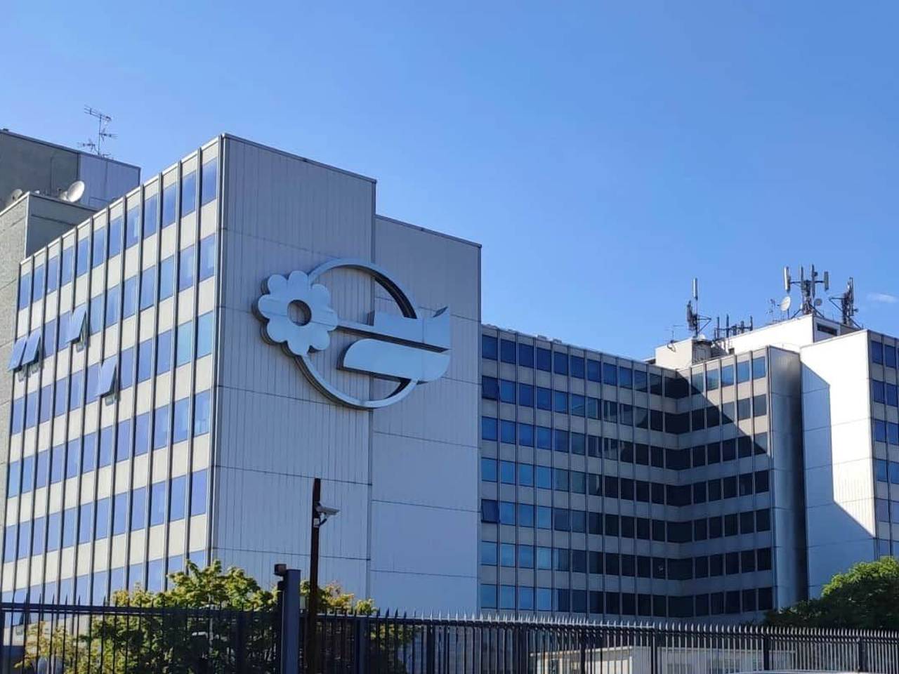 immagine annuncio 2 di 6