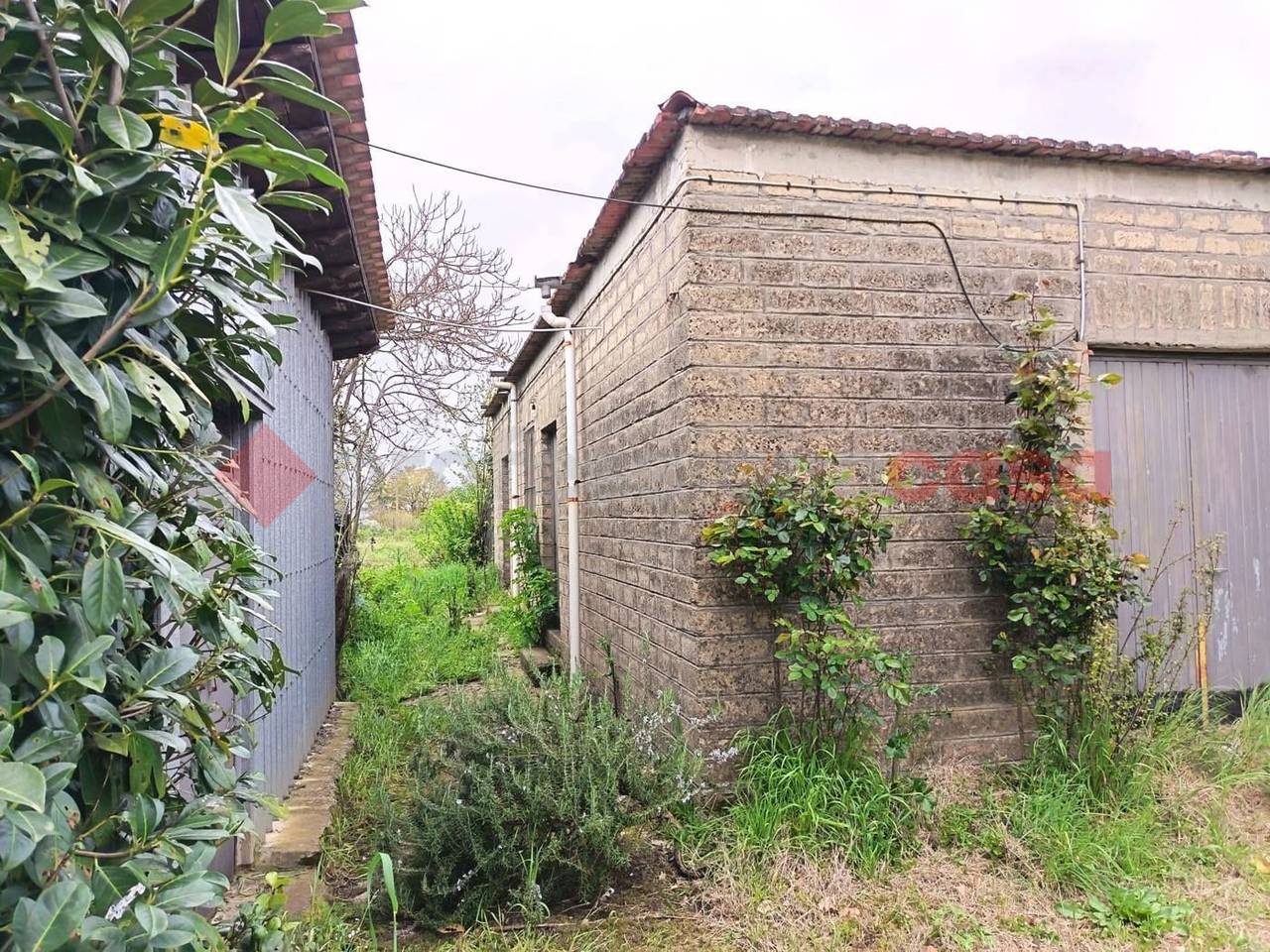 immagine annuncio 5 di 11