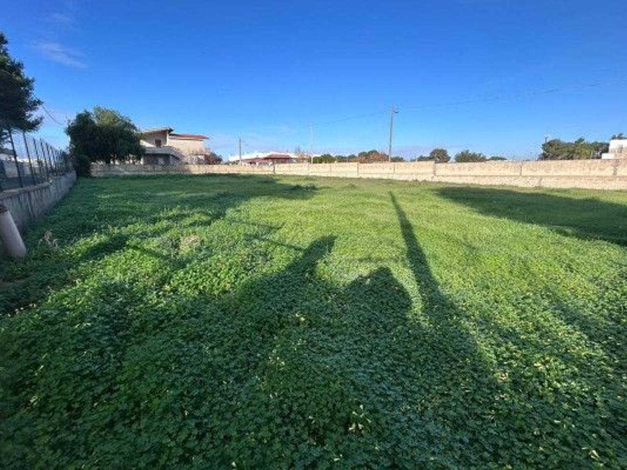 immagine annuncio 3 di 14