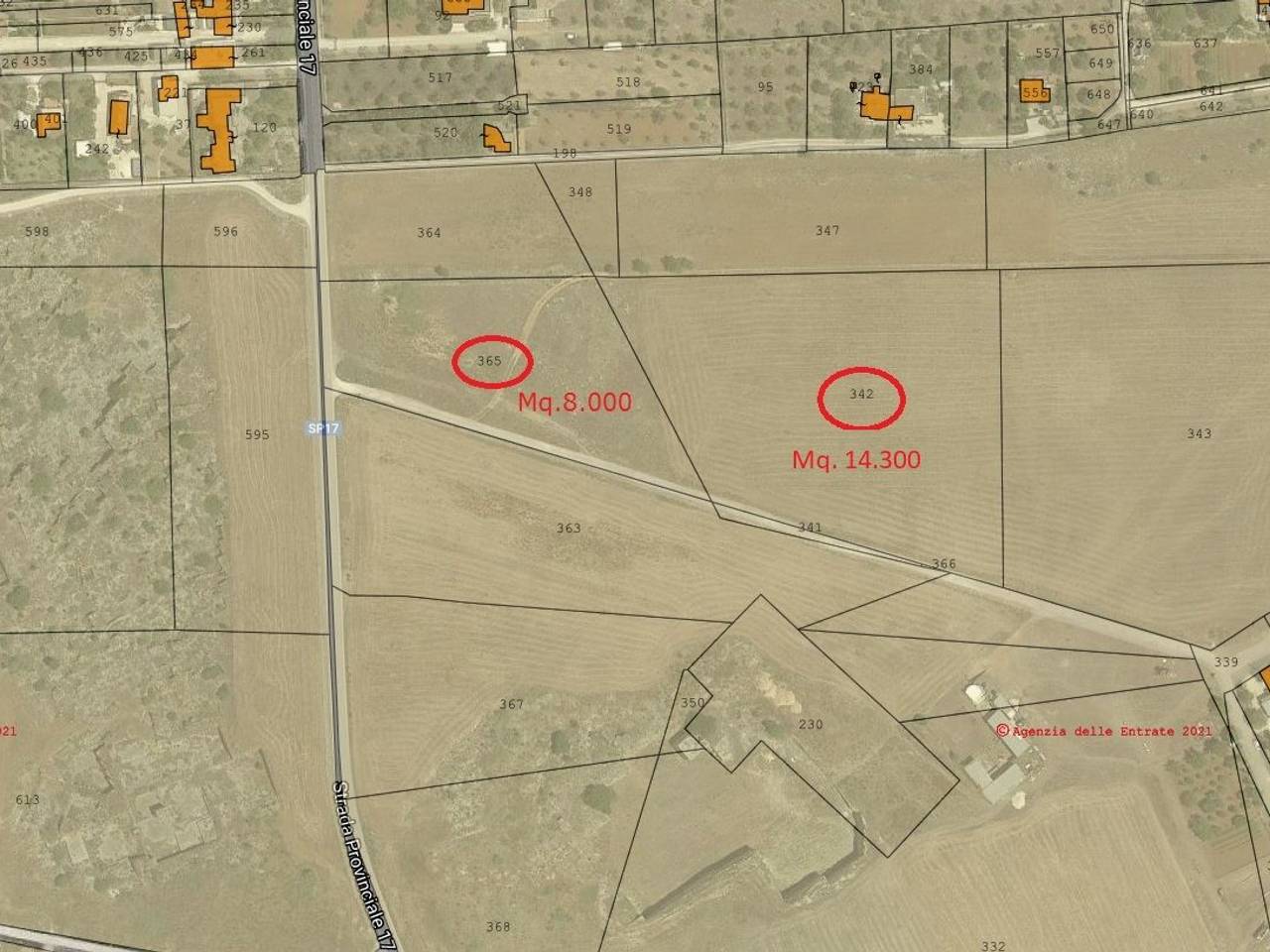 immagine annuncio 4 di 14