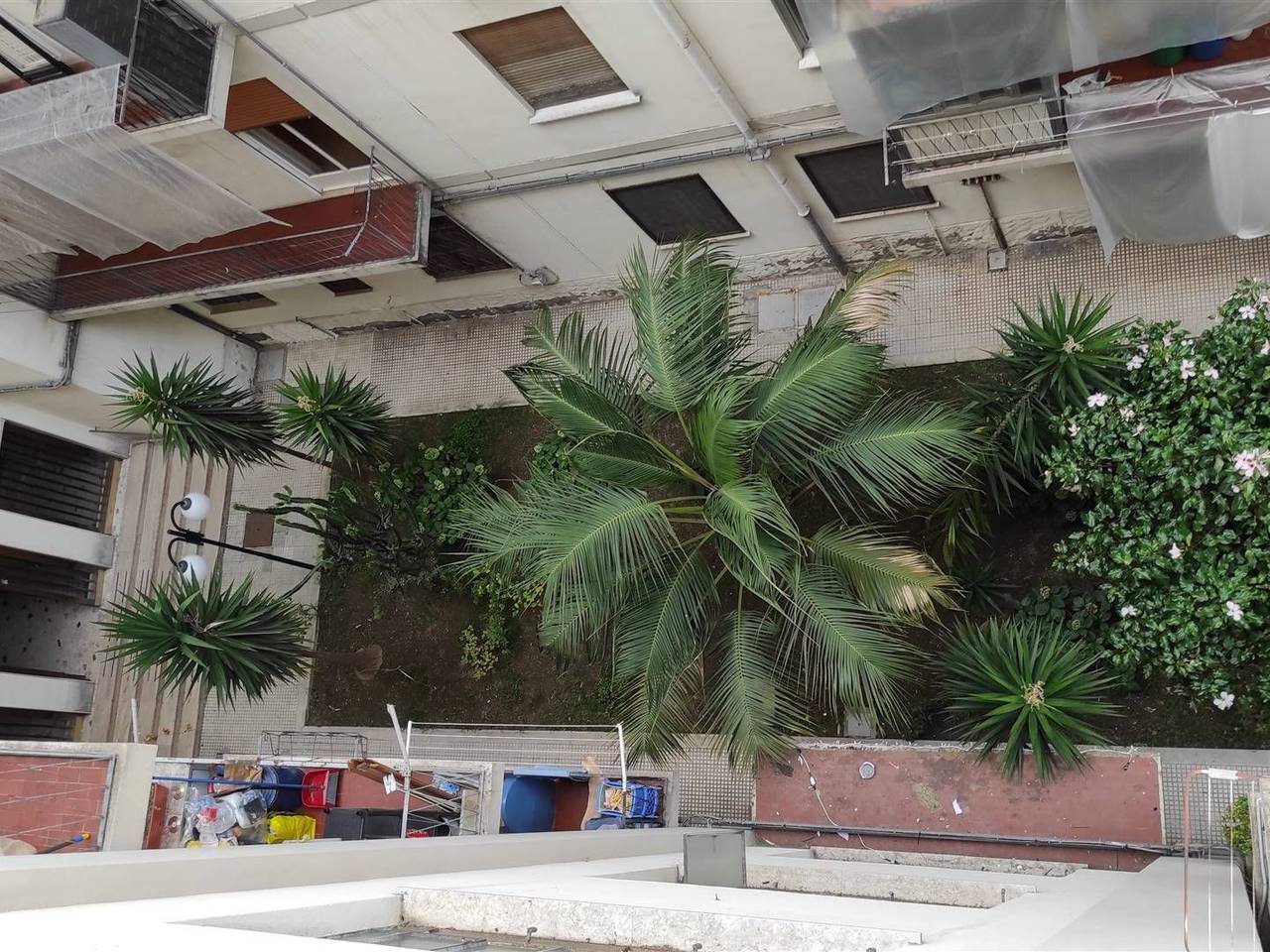 immagine annuncio 4 di 8