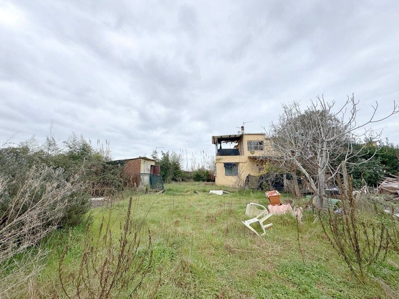 immagine annuncio 6 di 15