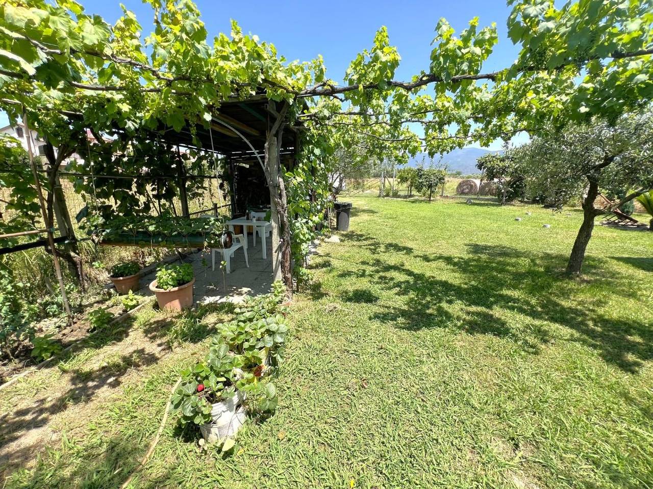 immagine annuncio 2 di 13