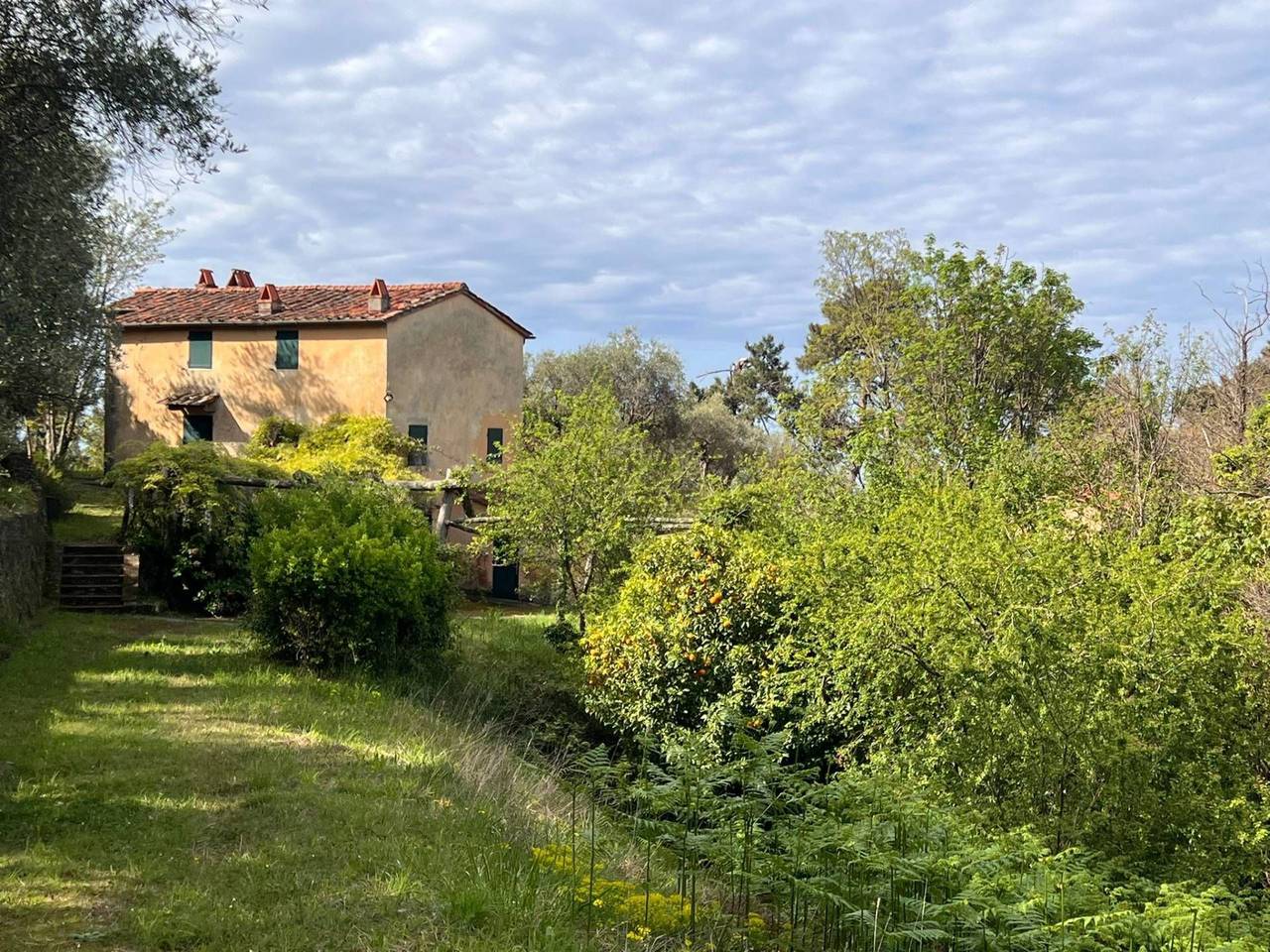 immagine annuncio 13 di 15