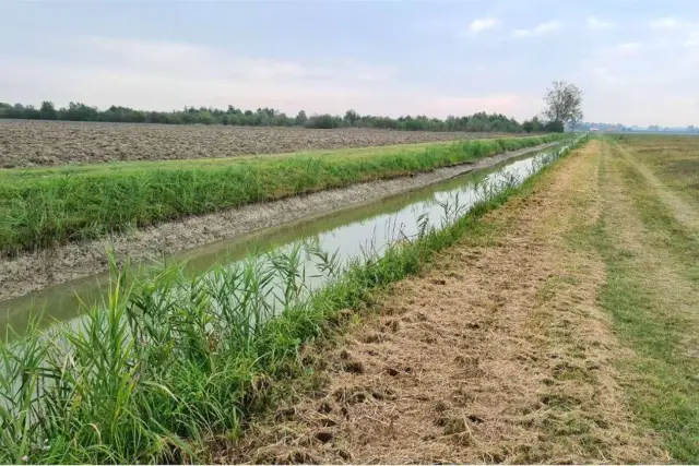 Terreno agricolo, Carpi - Foto 1