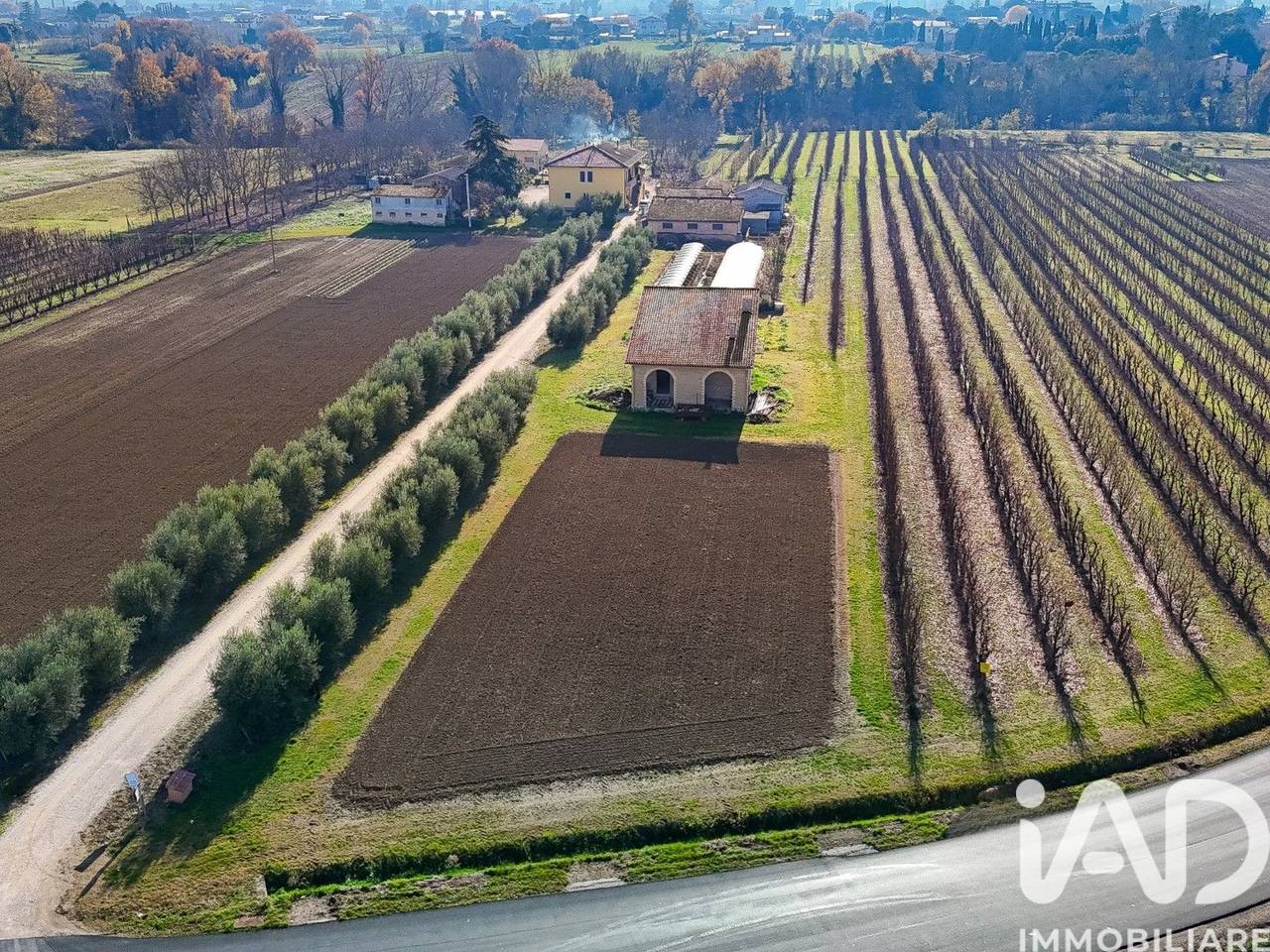 immagine annuncio 11 di 15