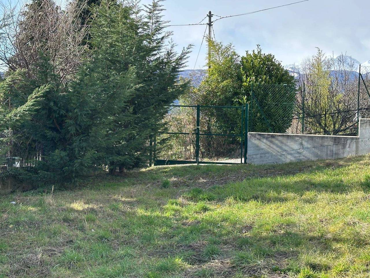 immagine annuncio 5 di 11