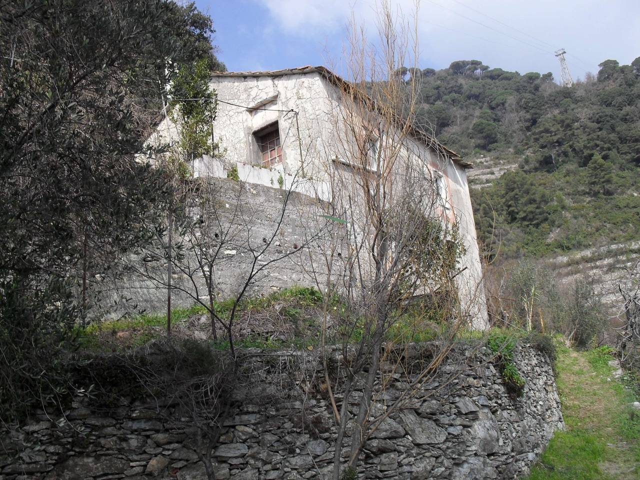 immagine annuncio 3 di 4