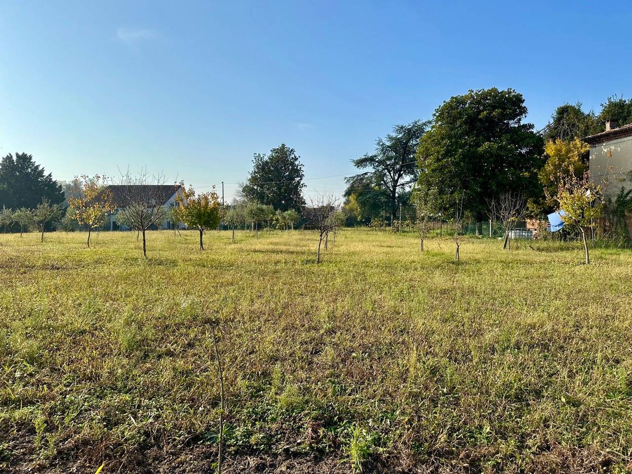 immagine annuncio 4 di 8