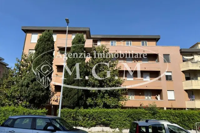 insertion image