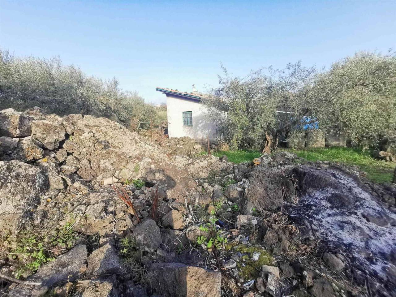 immagine annuncio 10 di 14