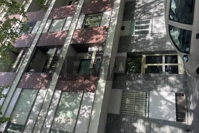 insertion image