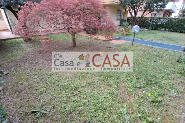 insertion image