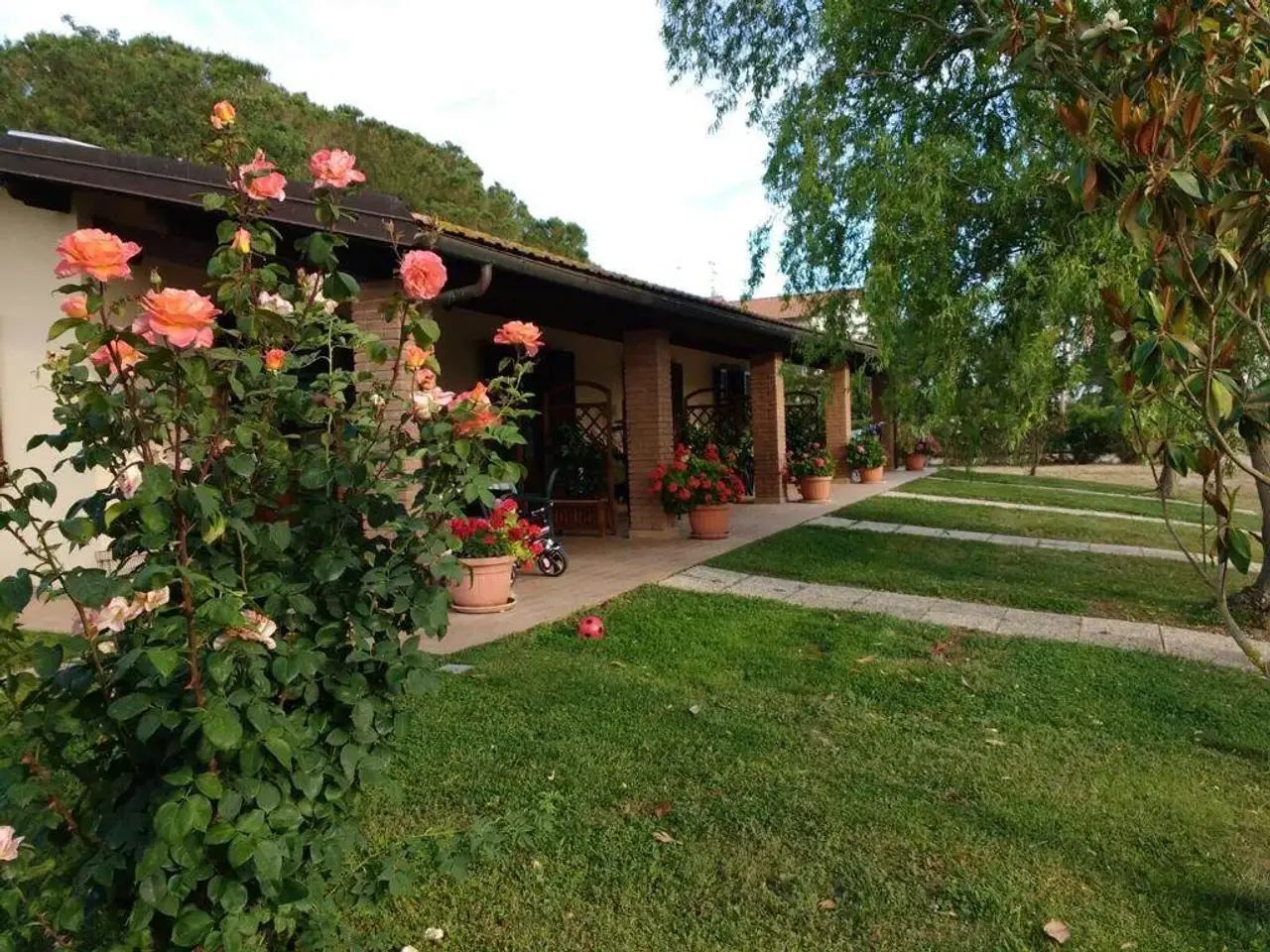 Agriturismo in , Grosseto, {3} - Foto 2
