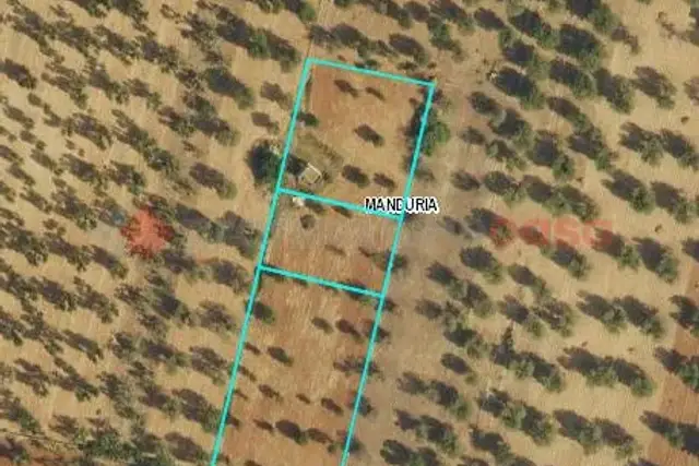 insertion image