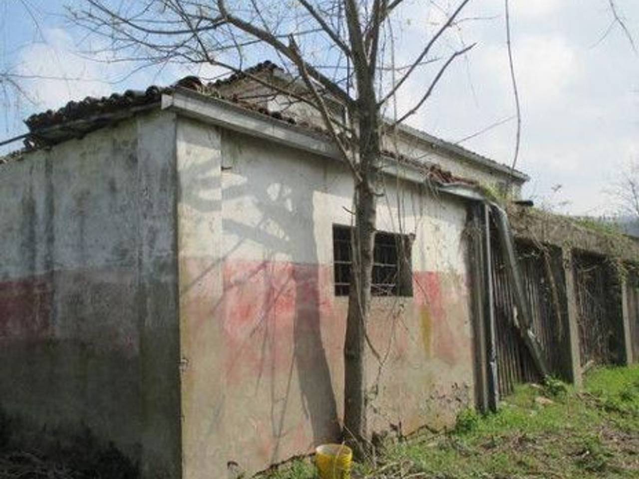 immagine annuncio 1 di 8