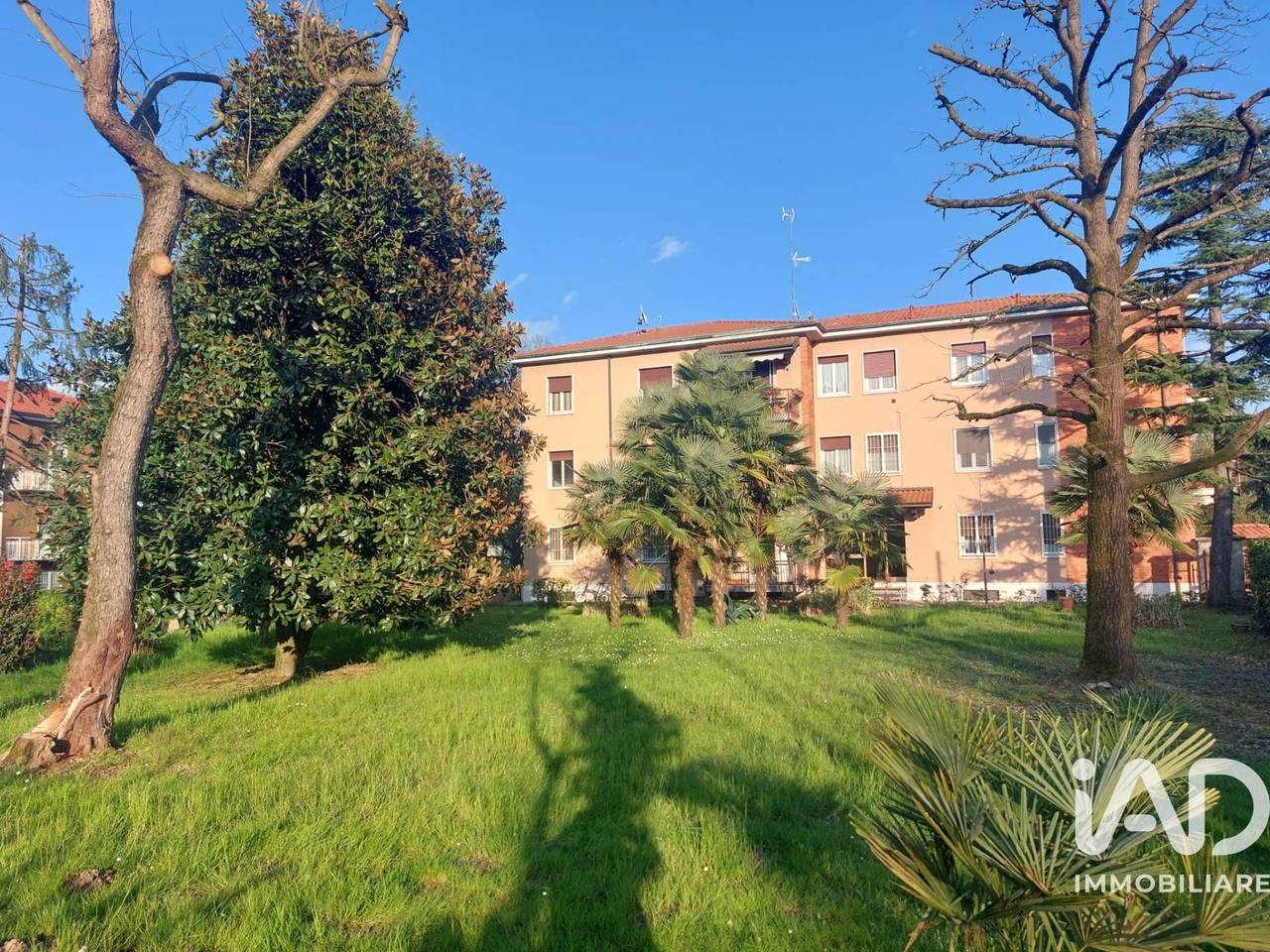 immagine annuncio 5 di 15