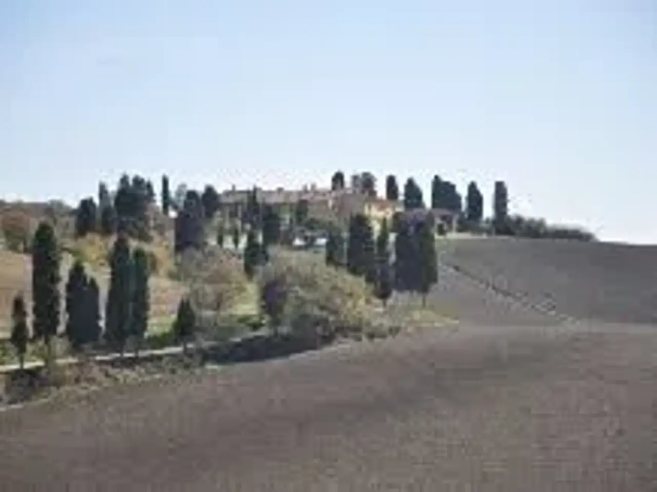Esercizio commerciale in Via Roma, Collesalvetti, {3} - Foto 2