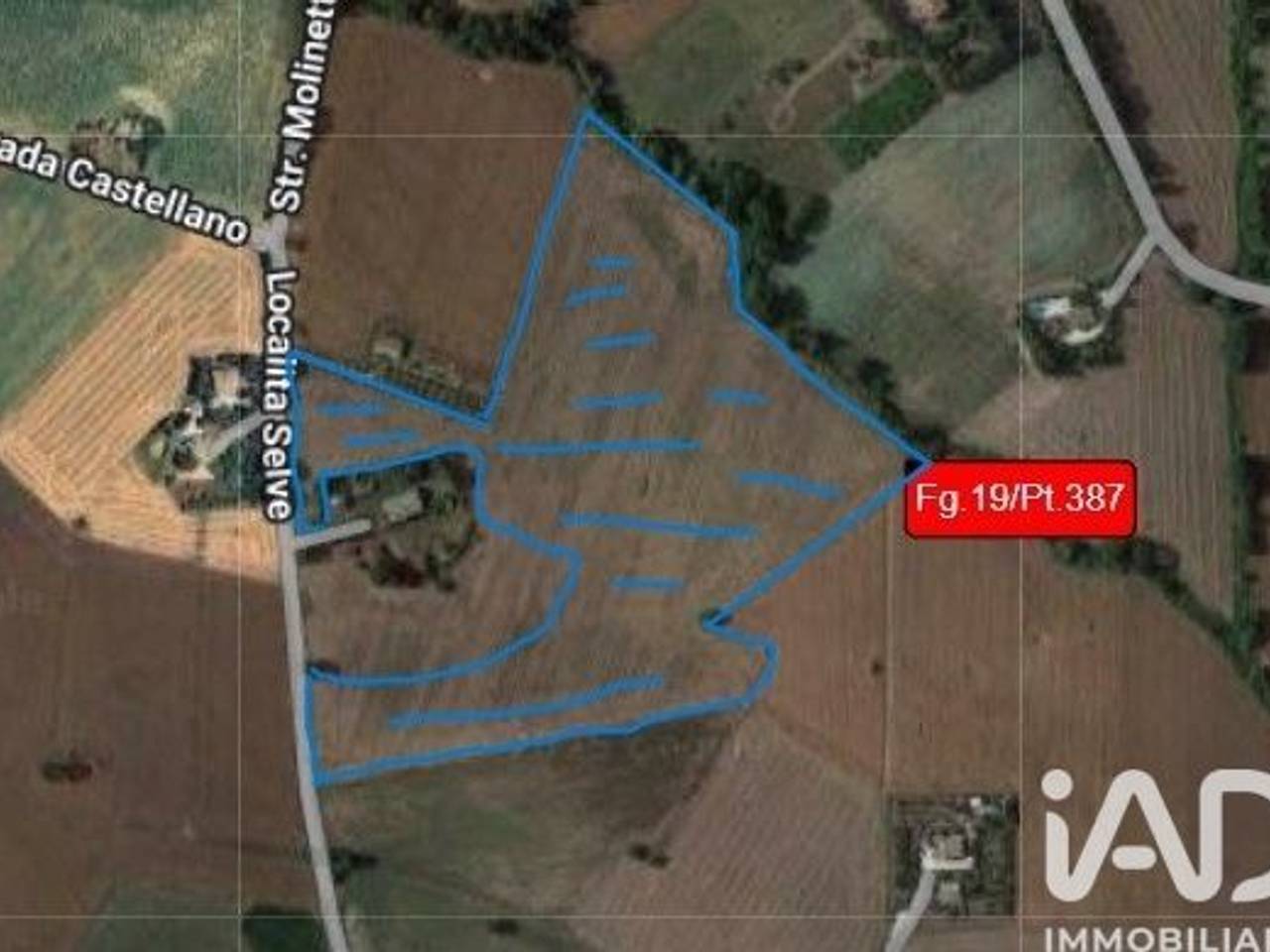 immagine annuncio 1 di 8